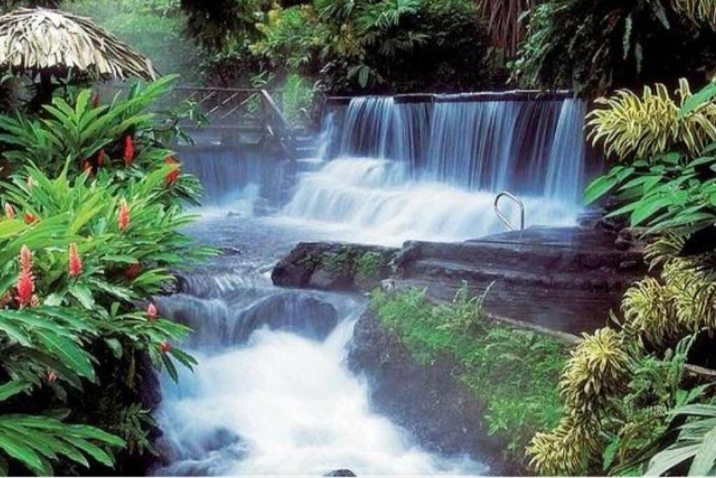 Elegant Villa In La Fortuna With Spacious Backyard Plus Very Private Pool & Parking エクステリア 写真